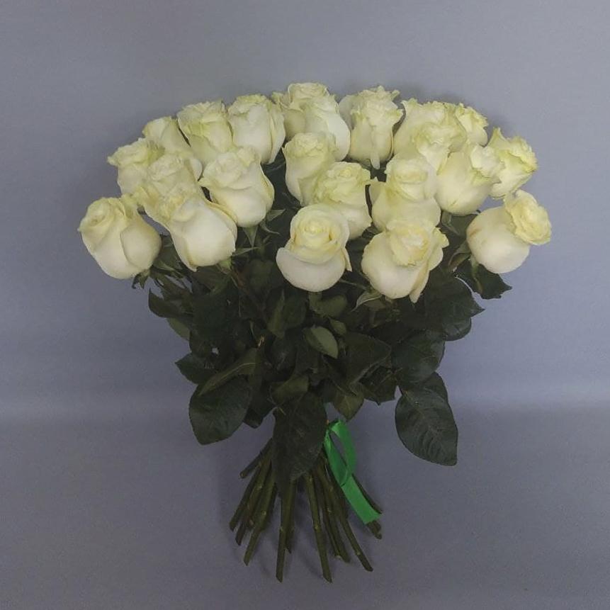 25 белых роз (50 см) с атласной лентой