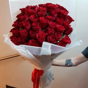 51 роза сорта "Фридом" (70 см)