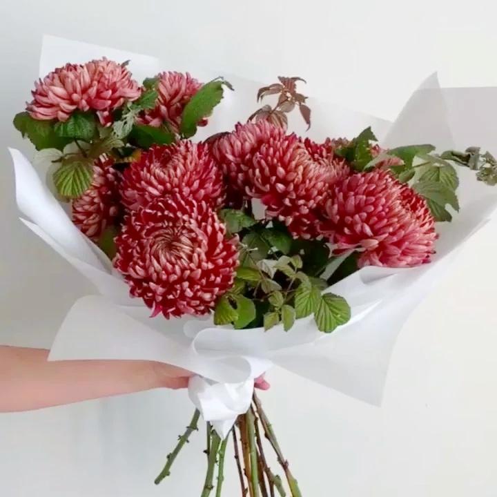 9 красных хризантем 