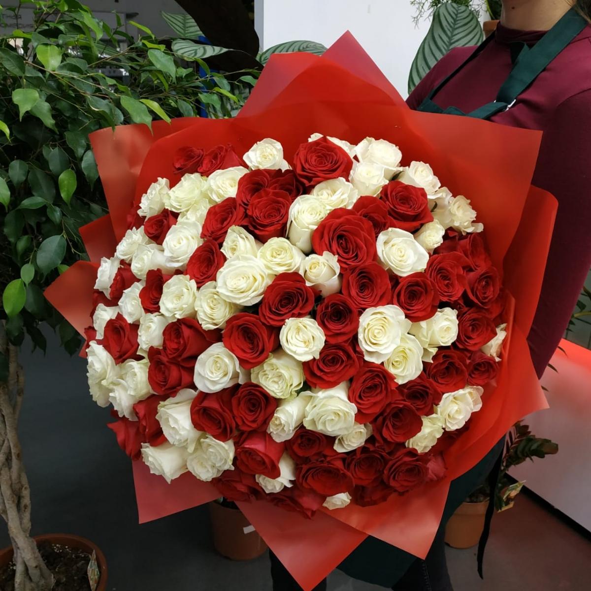 Букет из 101 розы (красные и белые розы) articul - 148683mos