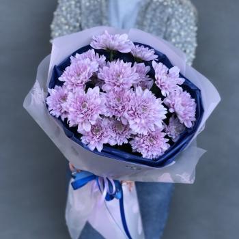 Хризантемы кустовые фиолетовые 6 шт.