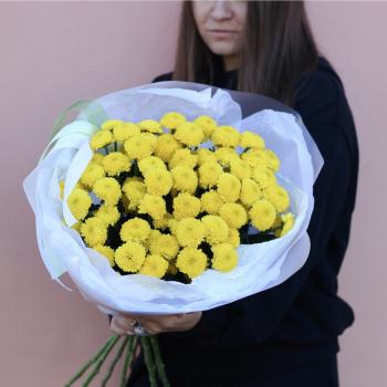 Хризантемы лимонные (сорт Сантини)