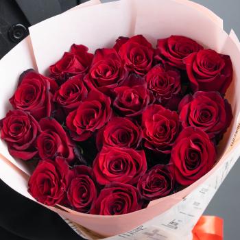Красные розы 25 шт. из Эквадора