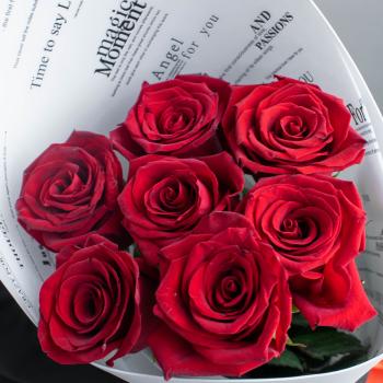 Красные розы 7 шт. из Эквадора