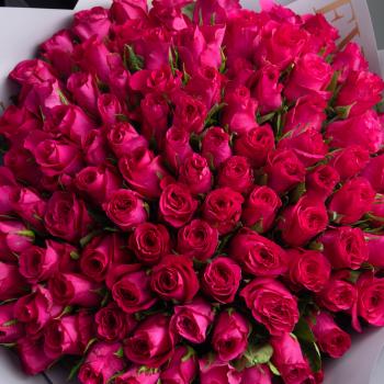 Розовые розы 101 шт. из Эквадора