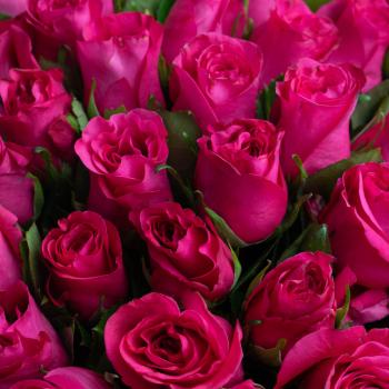 Розовые розы 51 шт. из Эквадора