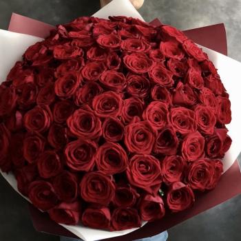 Букет Розы красные 101 шт. 80 см (Эквадорские)