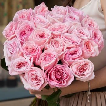 Розы розовые 25 шт. (Пионовидные)